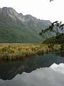 New_Zealand (530)